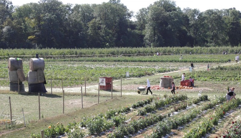 Image Cueillette de Chanteloup-en-Brie