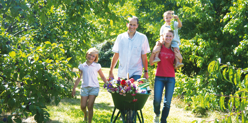 Image Cueillette de Servigny