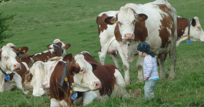 Image Ferme des Frasses