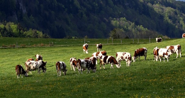 Image Ferme de la Sablière