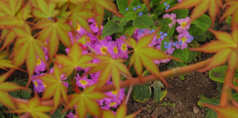 Image Jardin de Landon