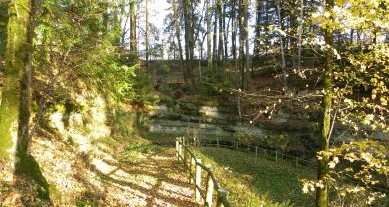 Image Parc de la Maison de la Flore