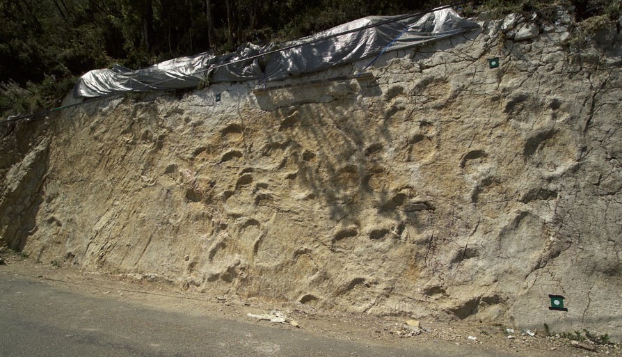 Image Site à pistes de dinosaures de Coisia