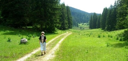 Image Sentier botanique des Frattes