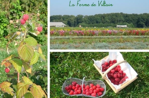 Image Ferme et cueillette de Viltain