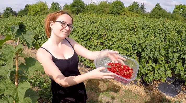 Image Cueillette de Gally