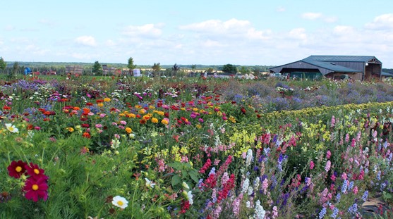 Image Ferme du Logis