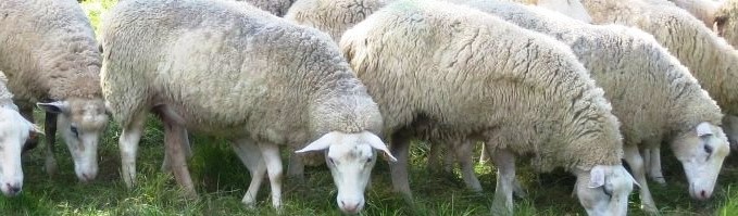 Image Ferme de Grignon AgroParisTech