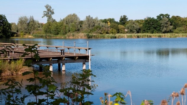 Image Parc départemental de la Boucle de Montesson