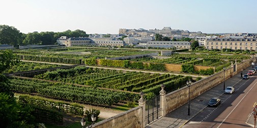 Image Potager du Roi