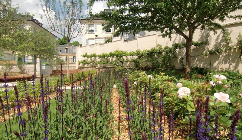 Image La Cour des Senteurs et le Jardin