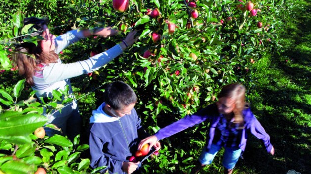 Image Cueillette de Cergy