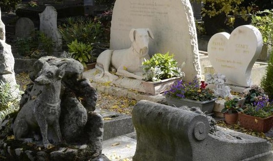 Image Cimetière des chiens, Asnières-sur-seine