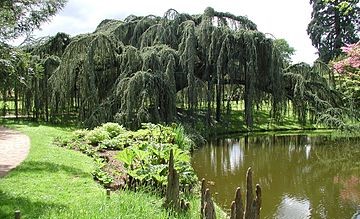 Image Arboretum de la Vallée Aux Loups