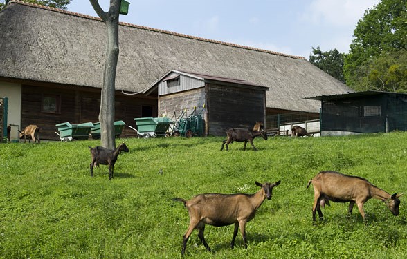 Image La ferme du Mont Valérien
