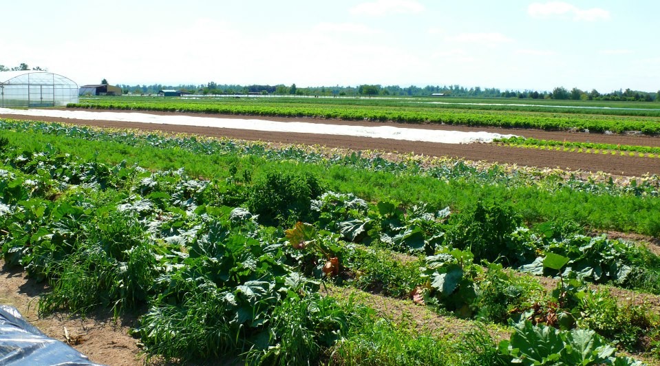 Image La ferme Mathis