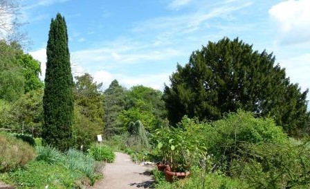 Image Le jardin botanique du col de Saverne