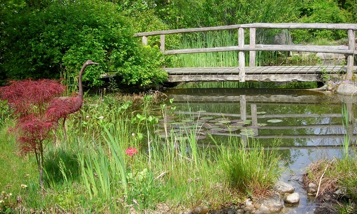 Image Le jardin de Marguerite