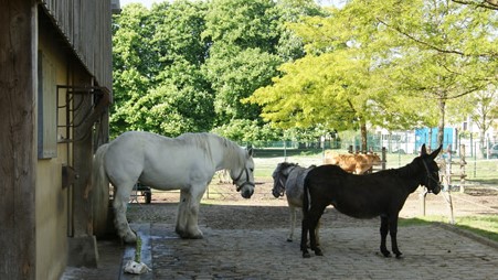 Image Parc et ferme enfantine des Gondoles