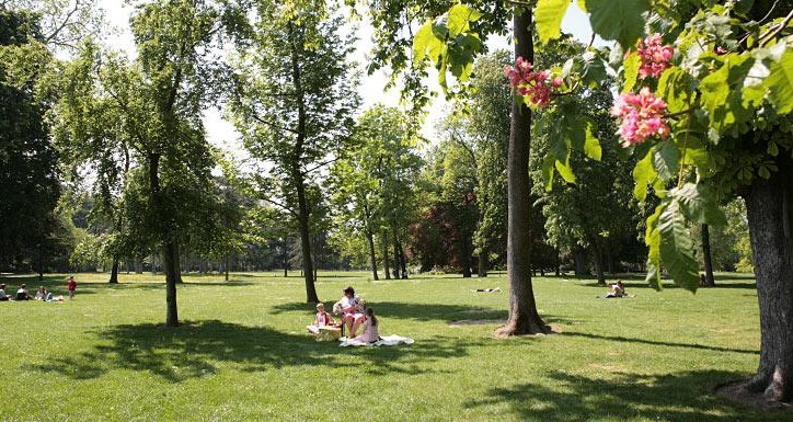 Image Parc départemental de la Roseraie