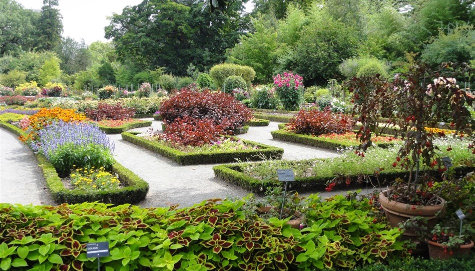 Image Jardin botanique de Lyon