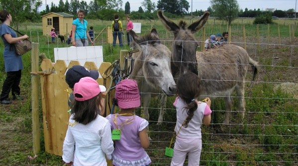 Image Ferme pédagogique de Cinquante