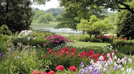 Image Jardin botanique de Melles