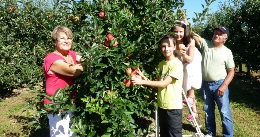 Image Le verger des Azémars