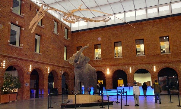 Image Muséum d'histoire naturelle