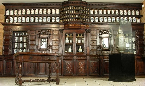 Image Musée Paul Dupuy