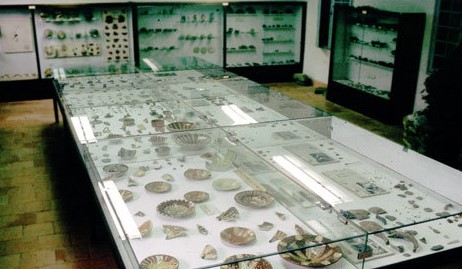 Image Musée d'archéologie et de paléontologie de Minerve