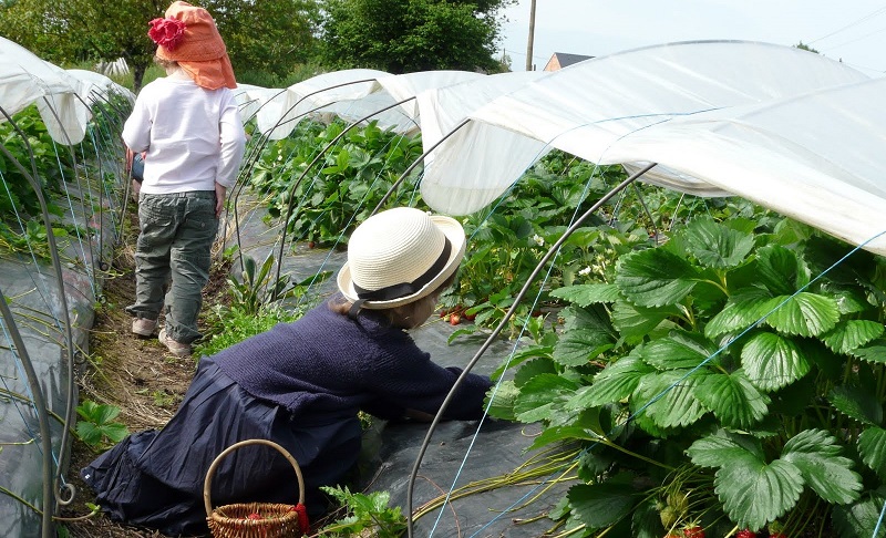 Image Ferme de Chasseloire