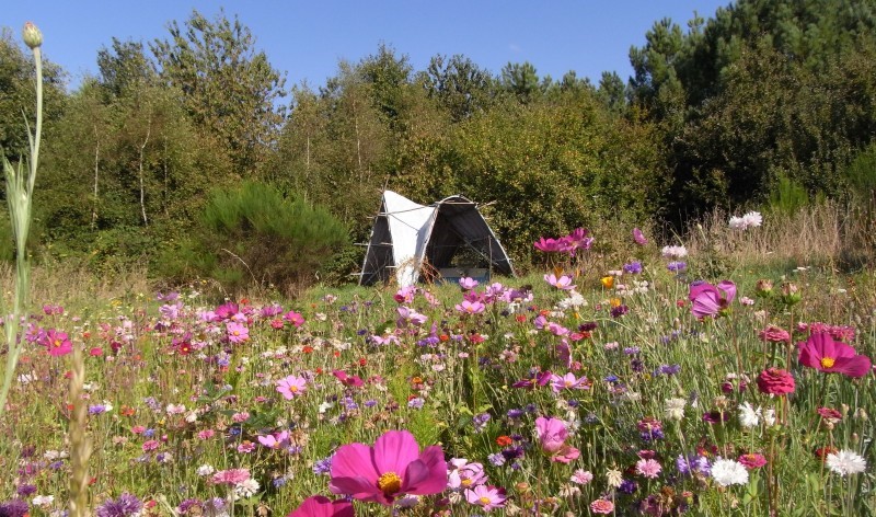 Image Les jardins de Koantiz