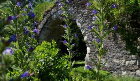 Image Parc du Palais Briau
