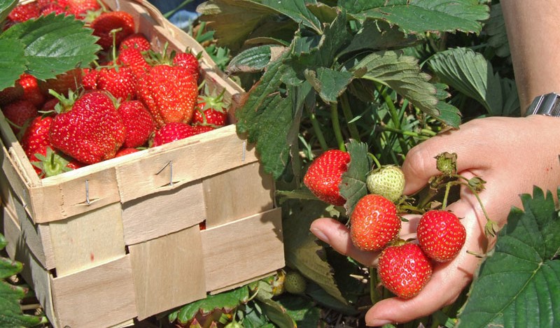 Image Domaine de Beauregard