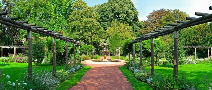 Image Le jardin botanique