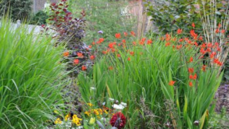 Image Jardin botanique et pédagogique
