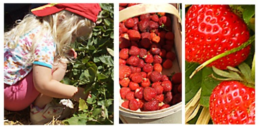 Image La ferme du Vinage