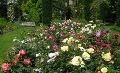 Image Le Courtil Saint-Roch