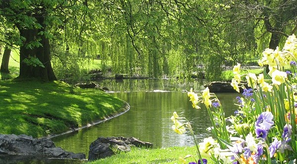 Image Le parc Barbieux