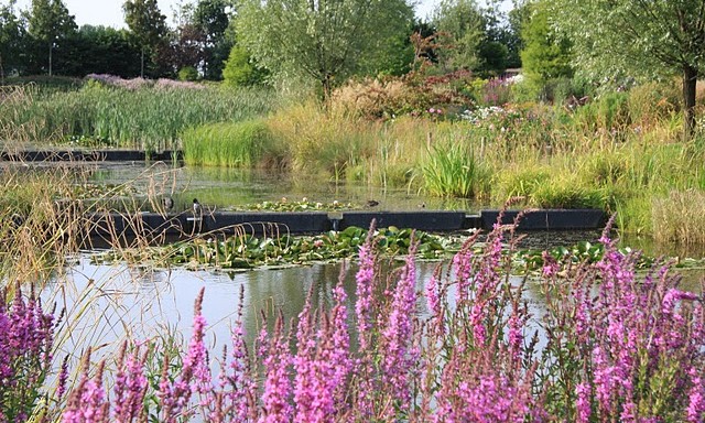 Image Parc floral - jardin des compagnons