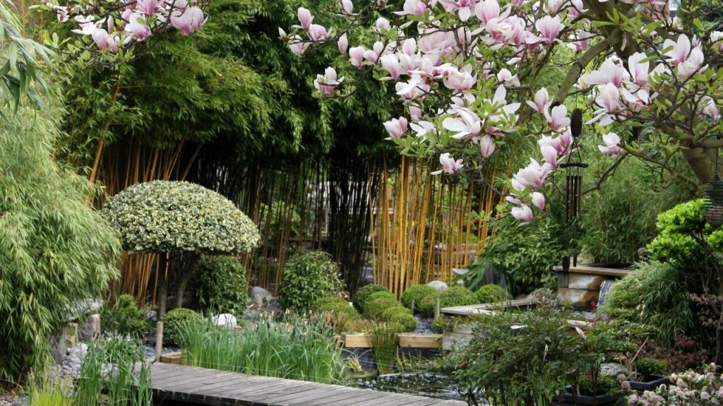 Image Le sentier du Chimonobambusa