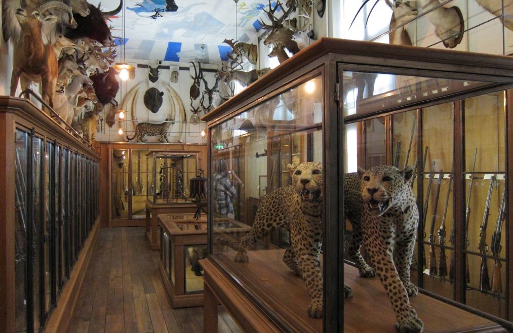 Image Musée de la chasse et de la nature