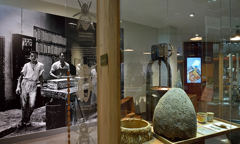 Image Musée du Calisson - Confiserie du Roy René