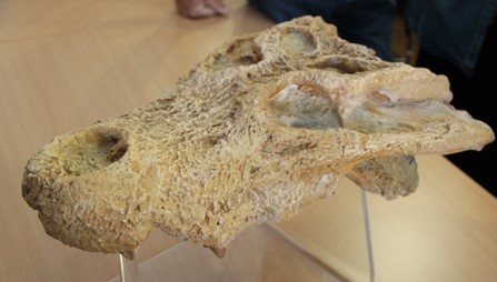 Image Musée Moulin Seigneurial