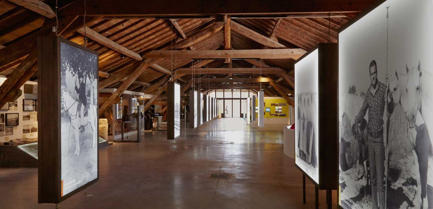 Image Musée de la Camargue