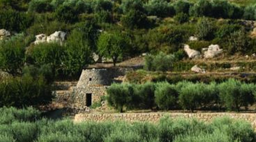 Image Le sentier de la Pastorale