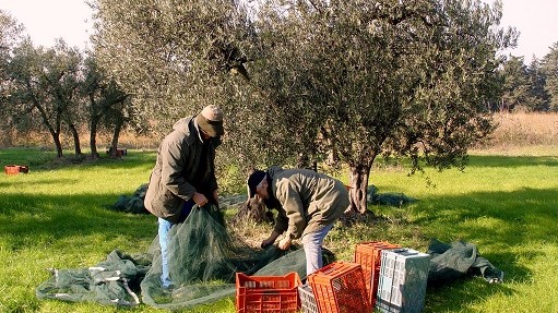 Image Moulin Jean-Marie Cornille