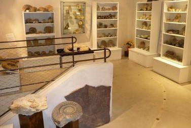 Image Musée des fossiles et minéraux