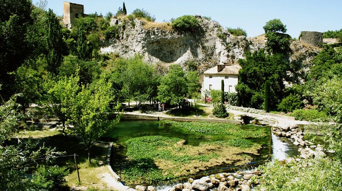 Image Musée-Bibliothèque François Pétrarque